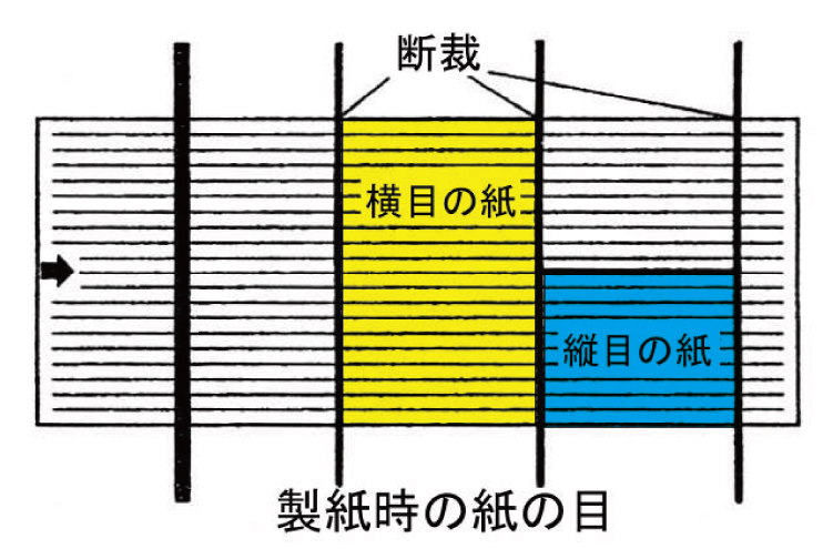 紙の目